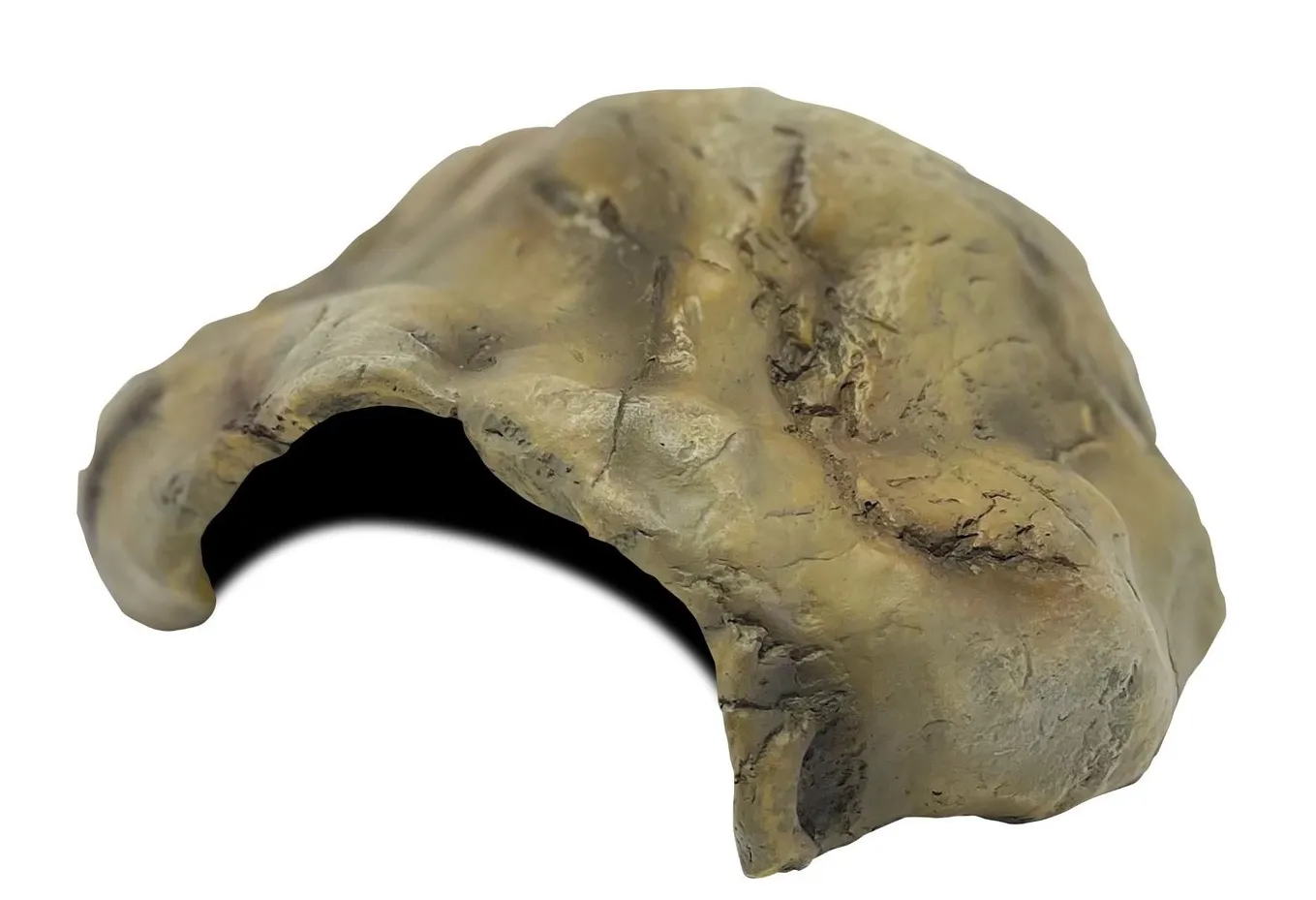 Nieuwe grot voor Harley